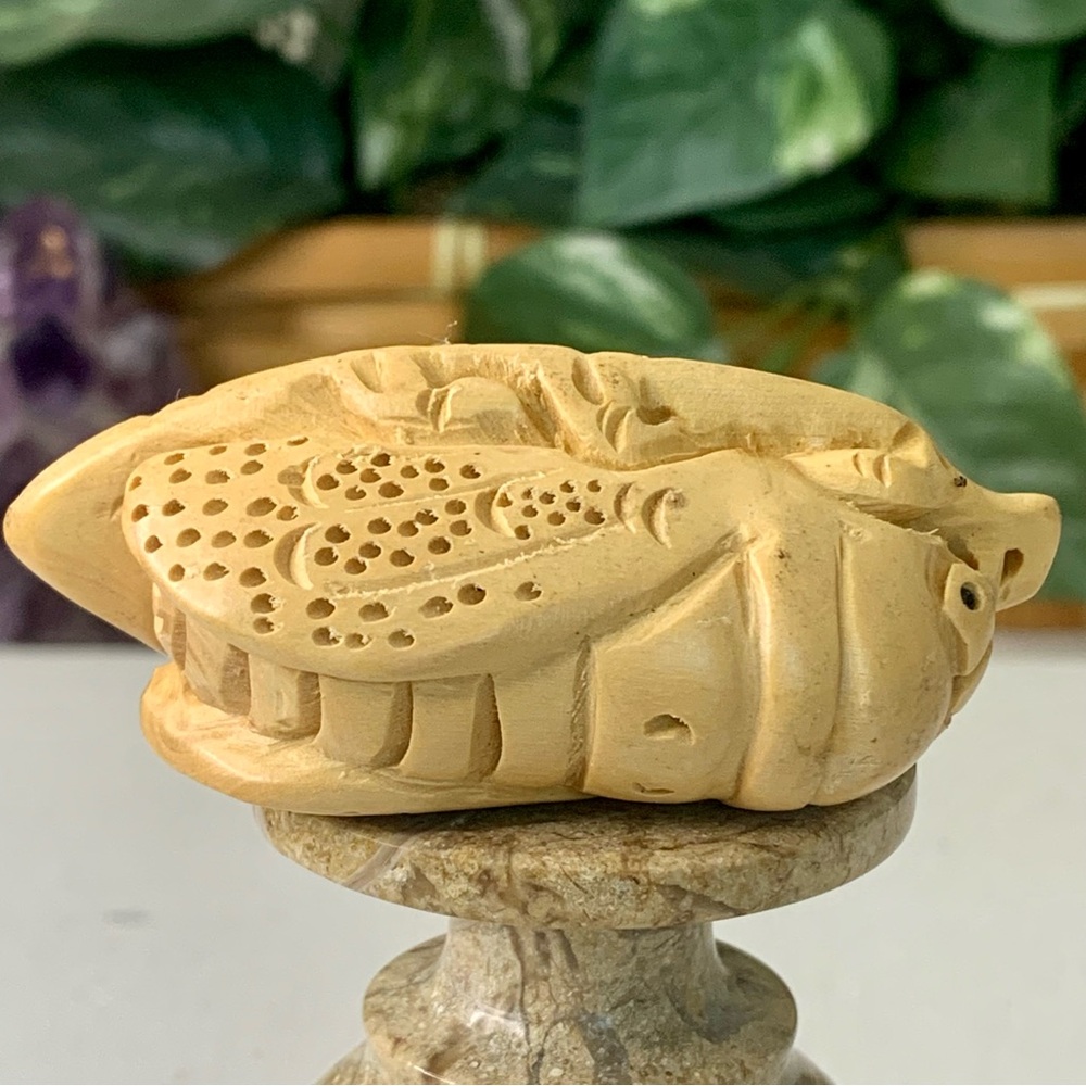 Vintage Netsuke Cicada Boxwood Carving Hand Carved Wood Insect Bug Figurine 2.7" - Picture 9 of 12